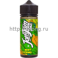 Жидкость Jam Jam Juice 120 мл Mint Spring 0 мг/мл